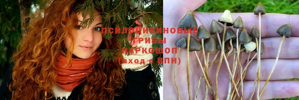 jwh Козловка