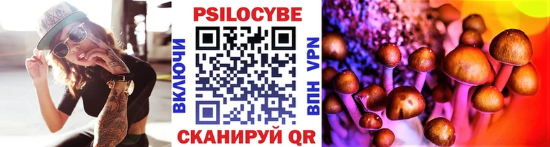 Псилоцибиновые грибы Cubensis Омутнинск