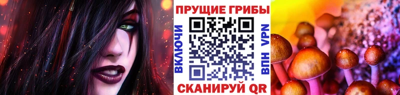 Купить  Омутнинск  Псилоцибиновые грибы мухоморы 